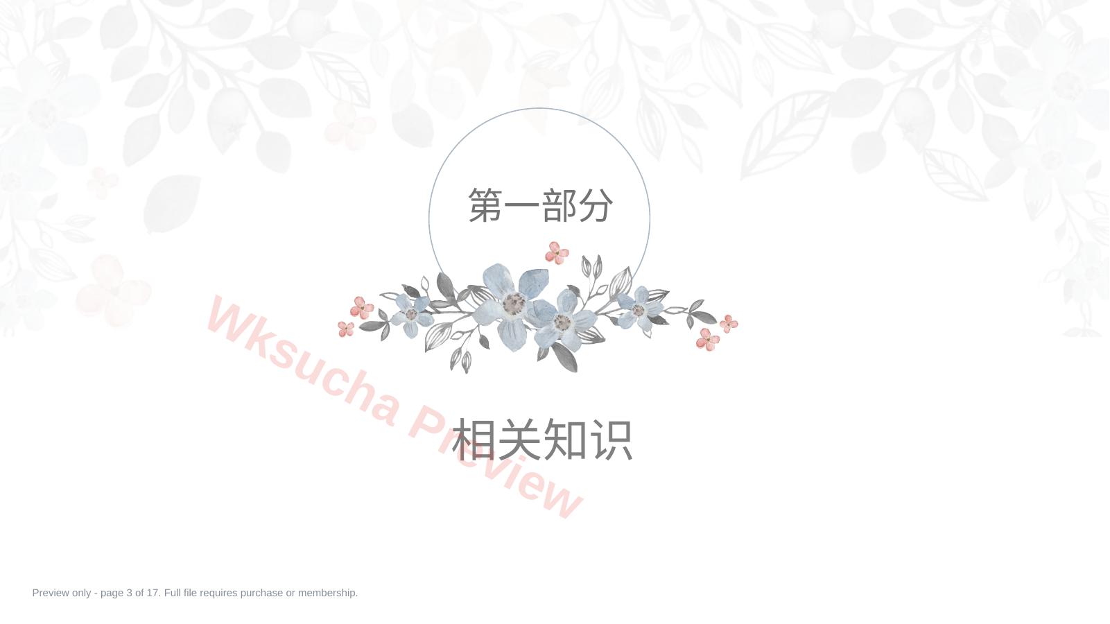 预览第 3 页
