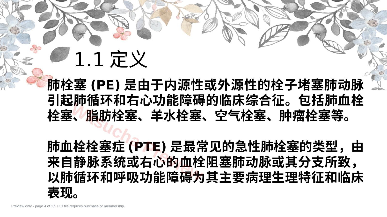预览第 4 页