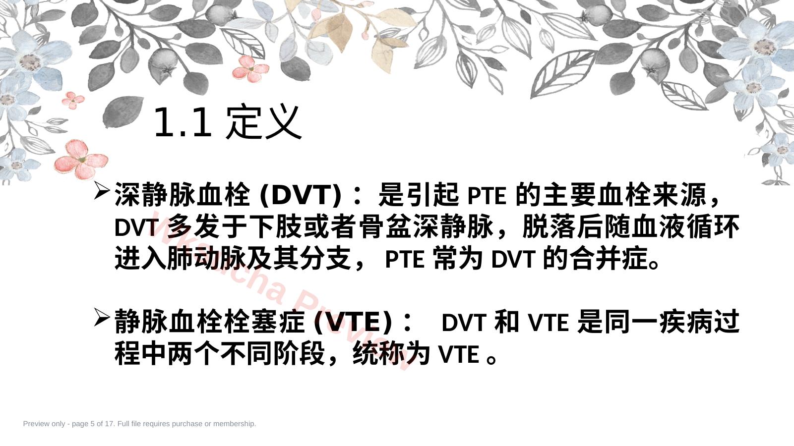 预览第 5 页