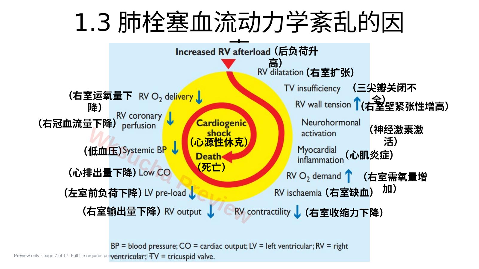 预览第 7 页