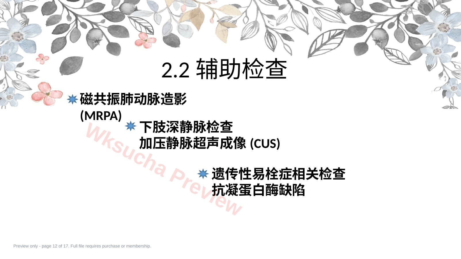 预览第 12 页