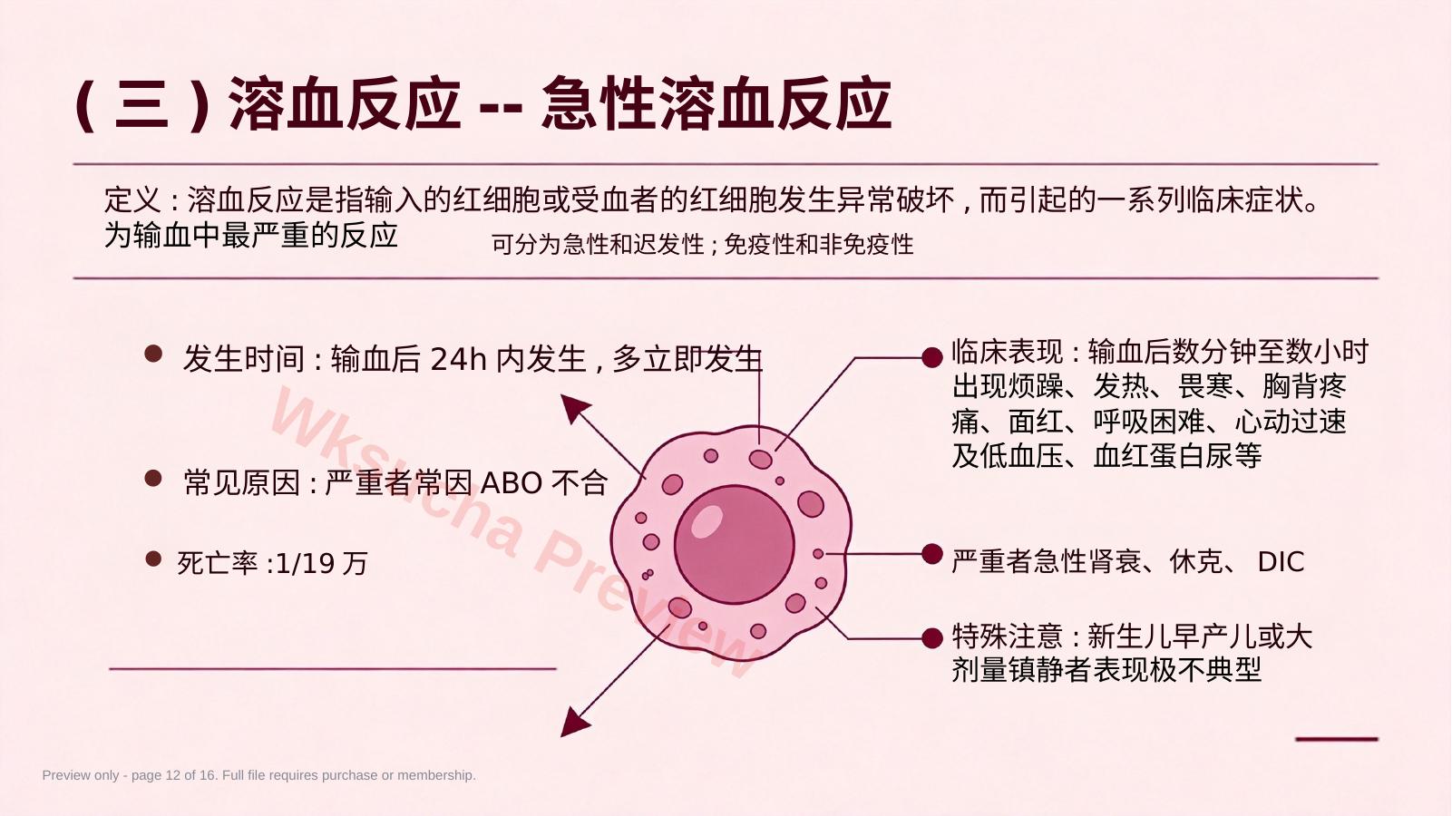 预览第 12 页