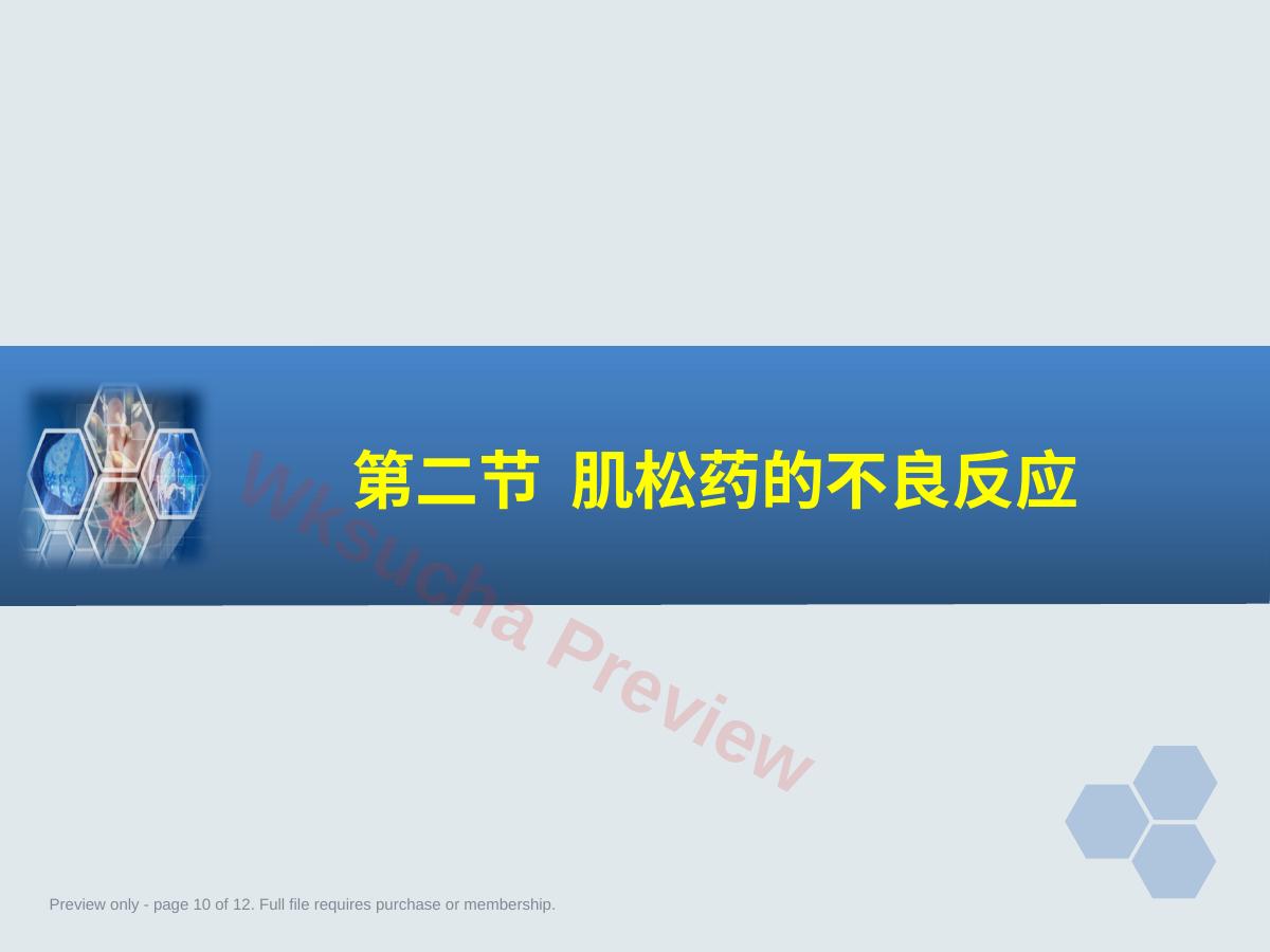 预览第 10 页