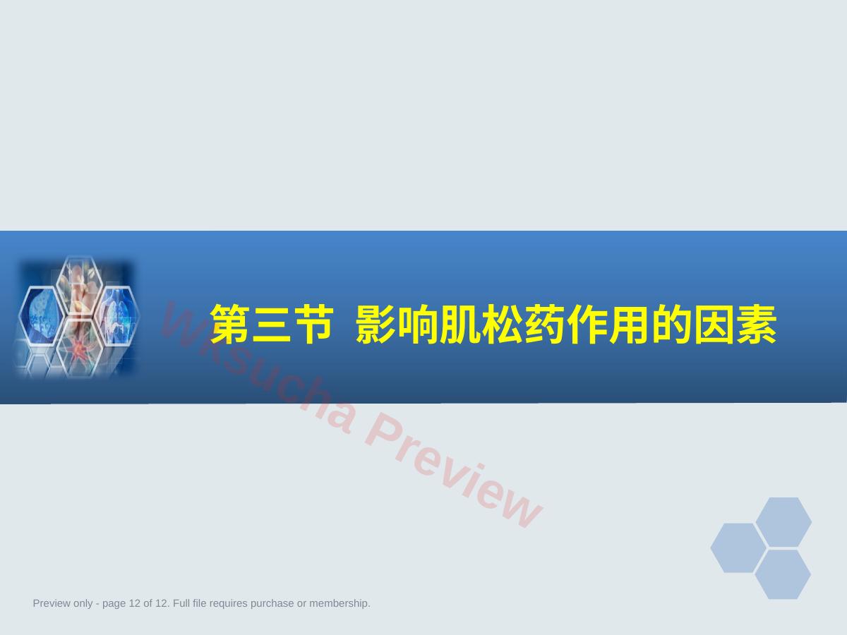 预览第 12 页