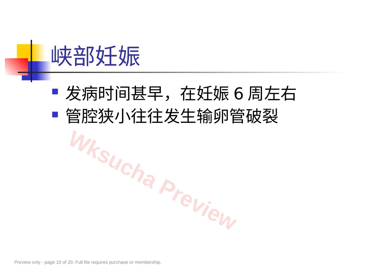 预览第 10 页