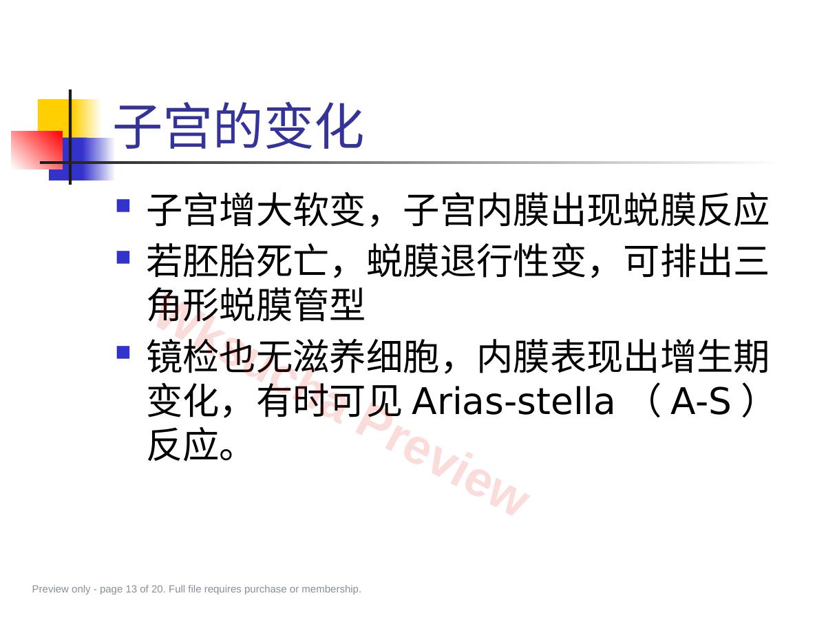 预览第 13 页
