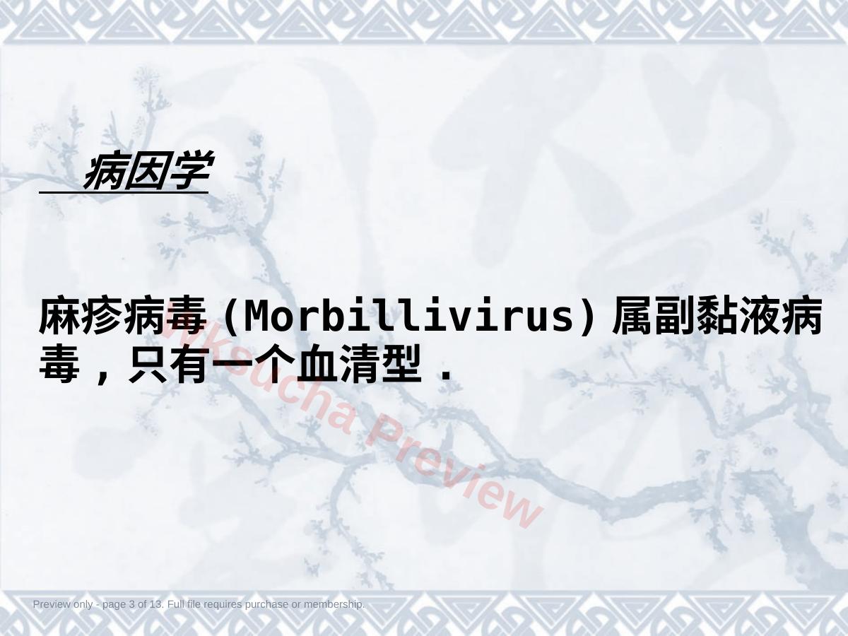 预览第 3 页