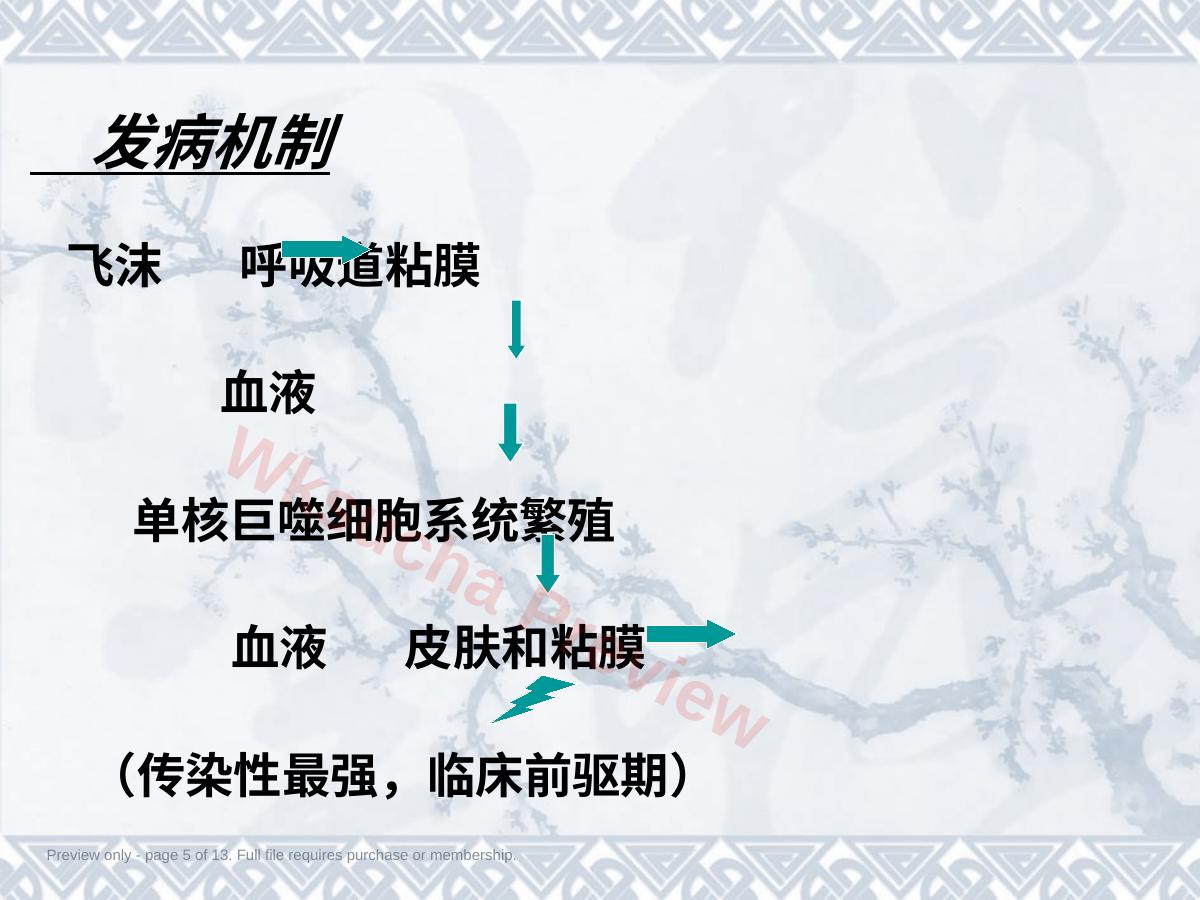 预览第 5 页