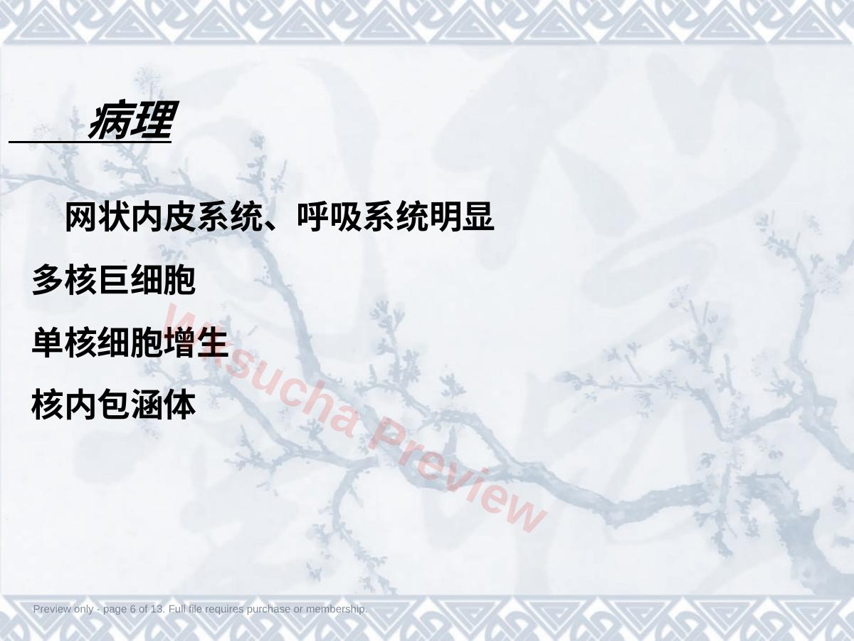 预览第 6 页