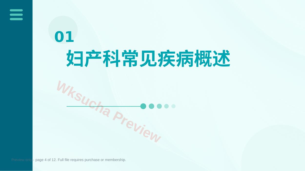 预览第 4 页