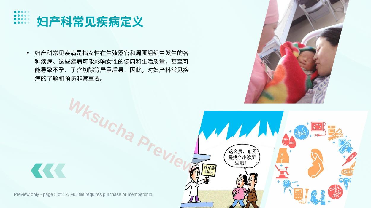预览第 5 页