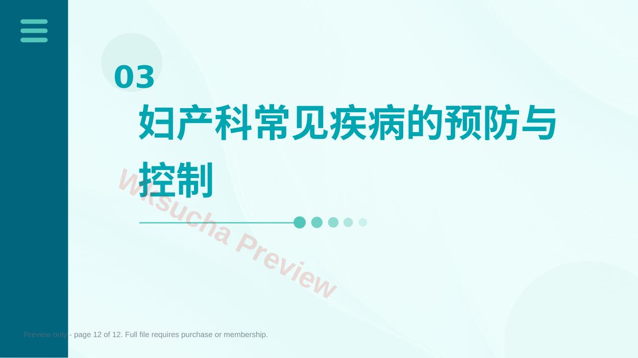 预览第 12 页