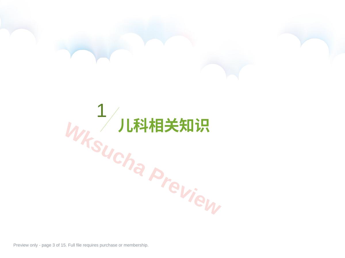 预览第 3 页
