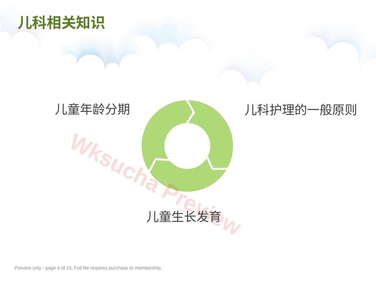 预览第 4 页