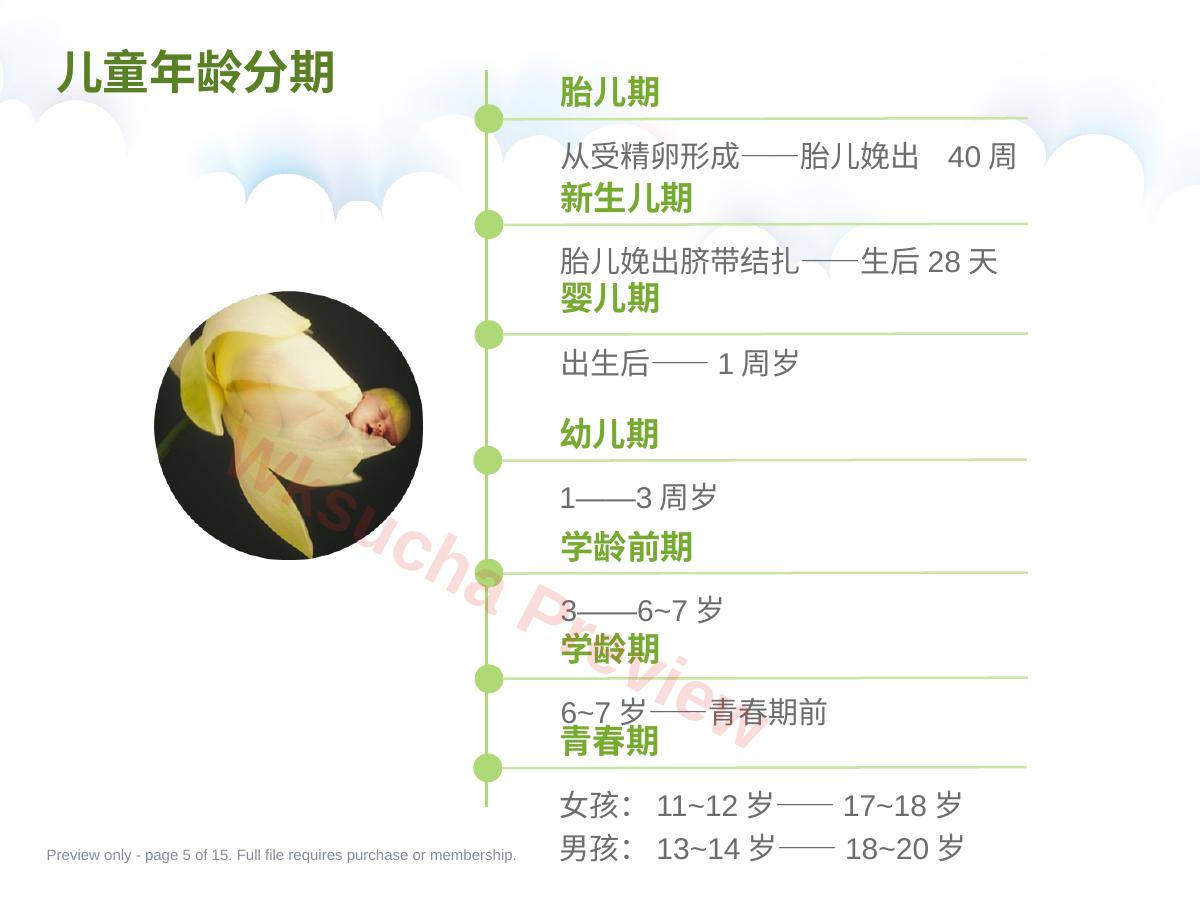 预览第 5 页