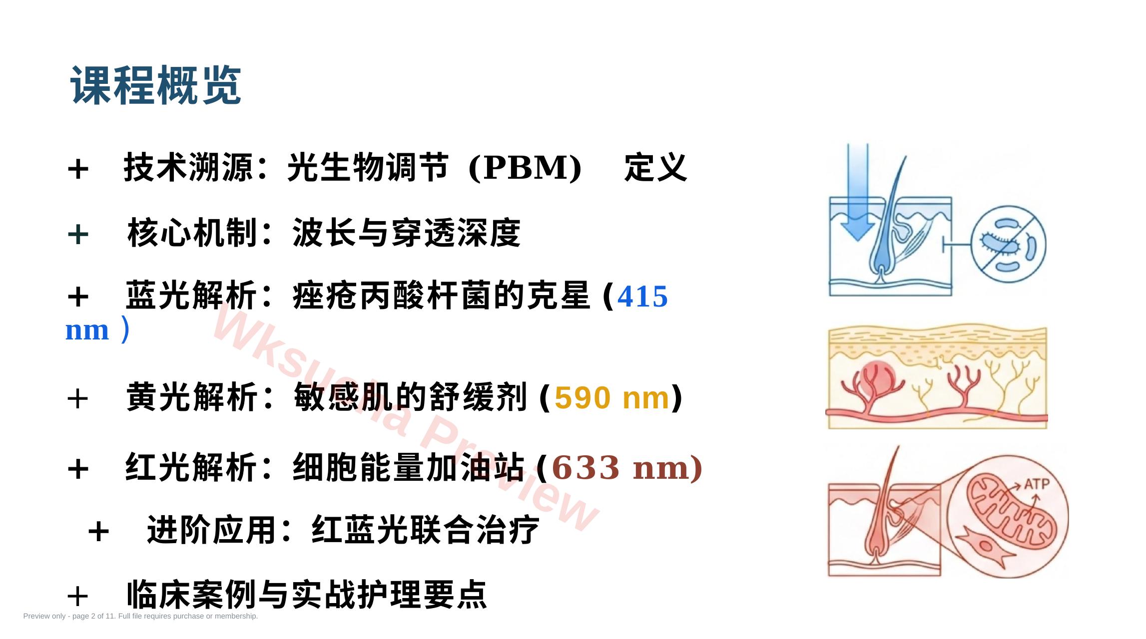 预览第 2 页