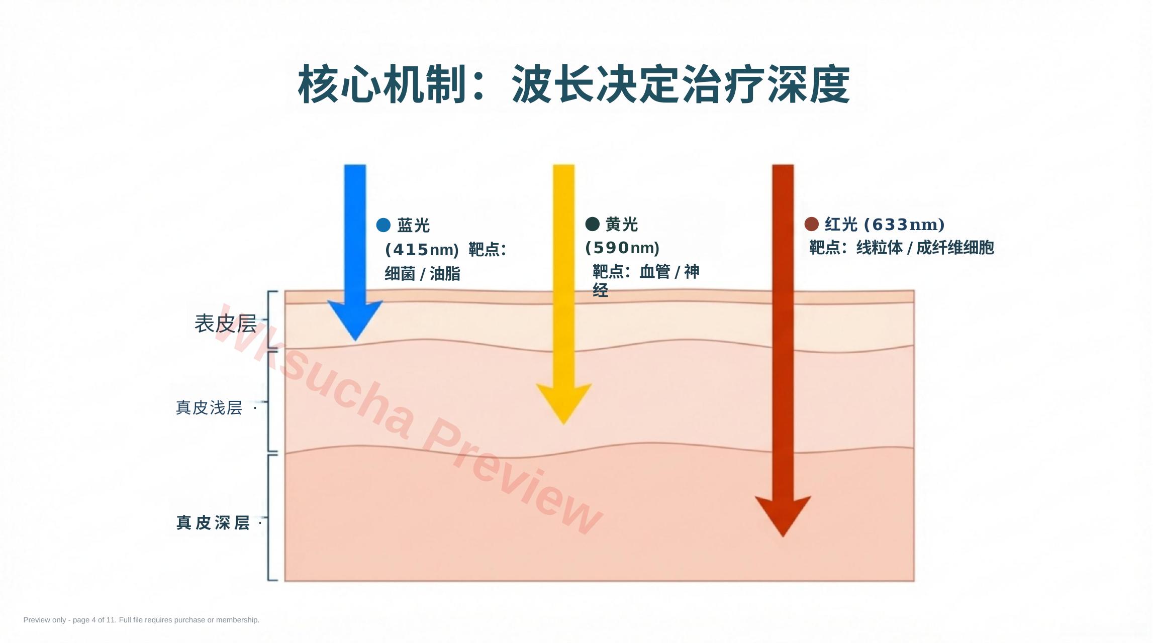 预览第 4 页