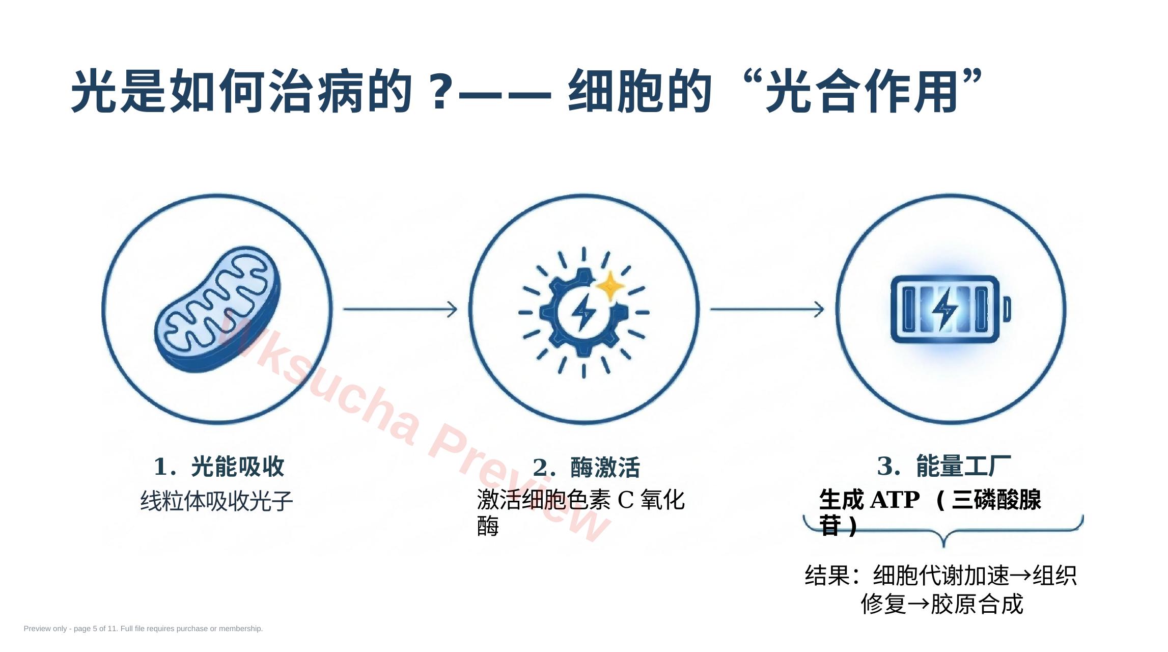 预览第 5 页