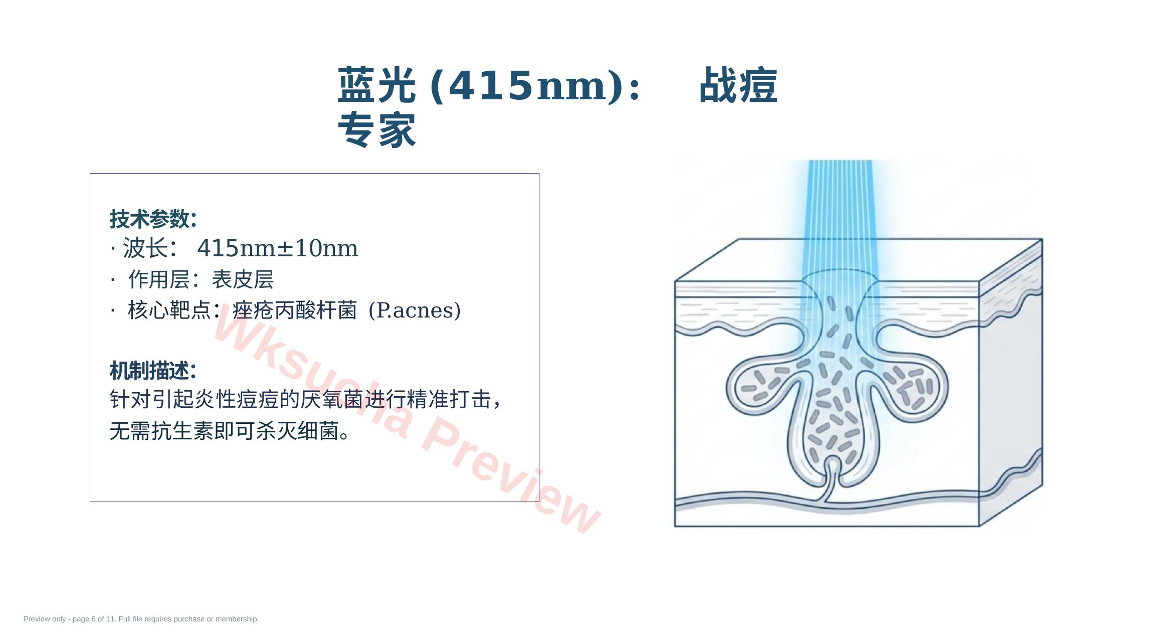 预览第 6 页