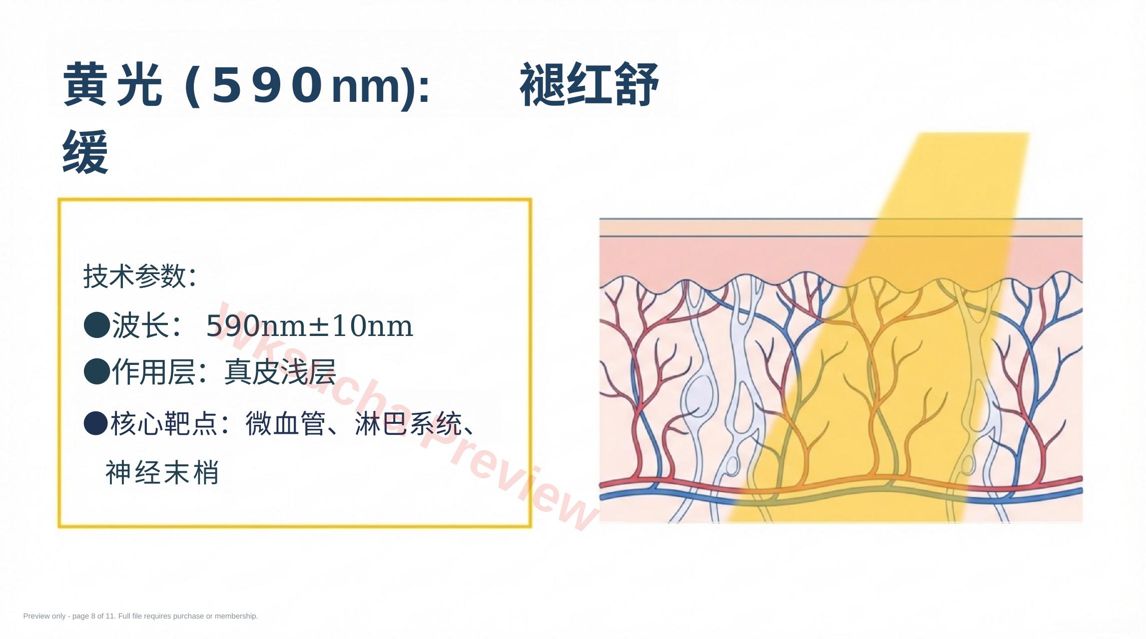 预览第 8 页