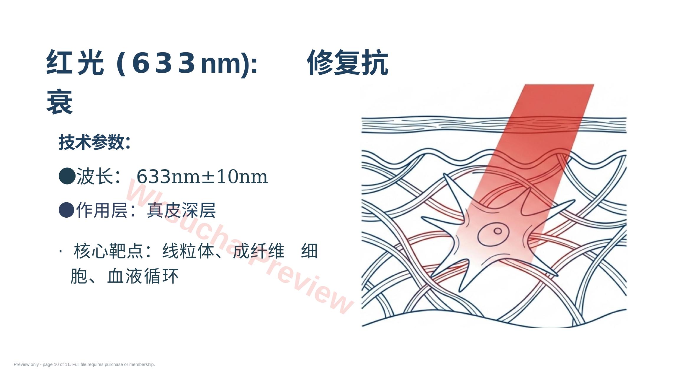 预览第 10 页