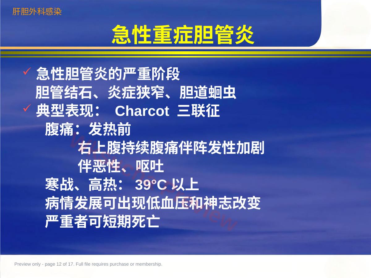 预览第 12 页