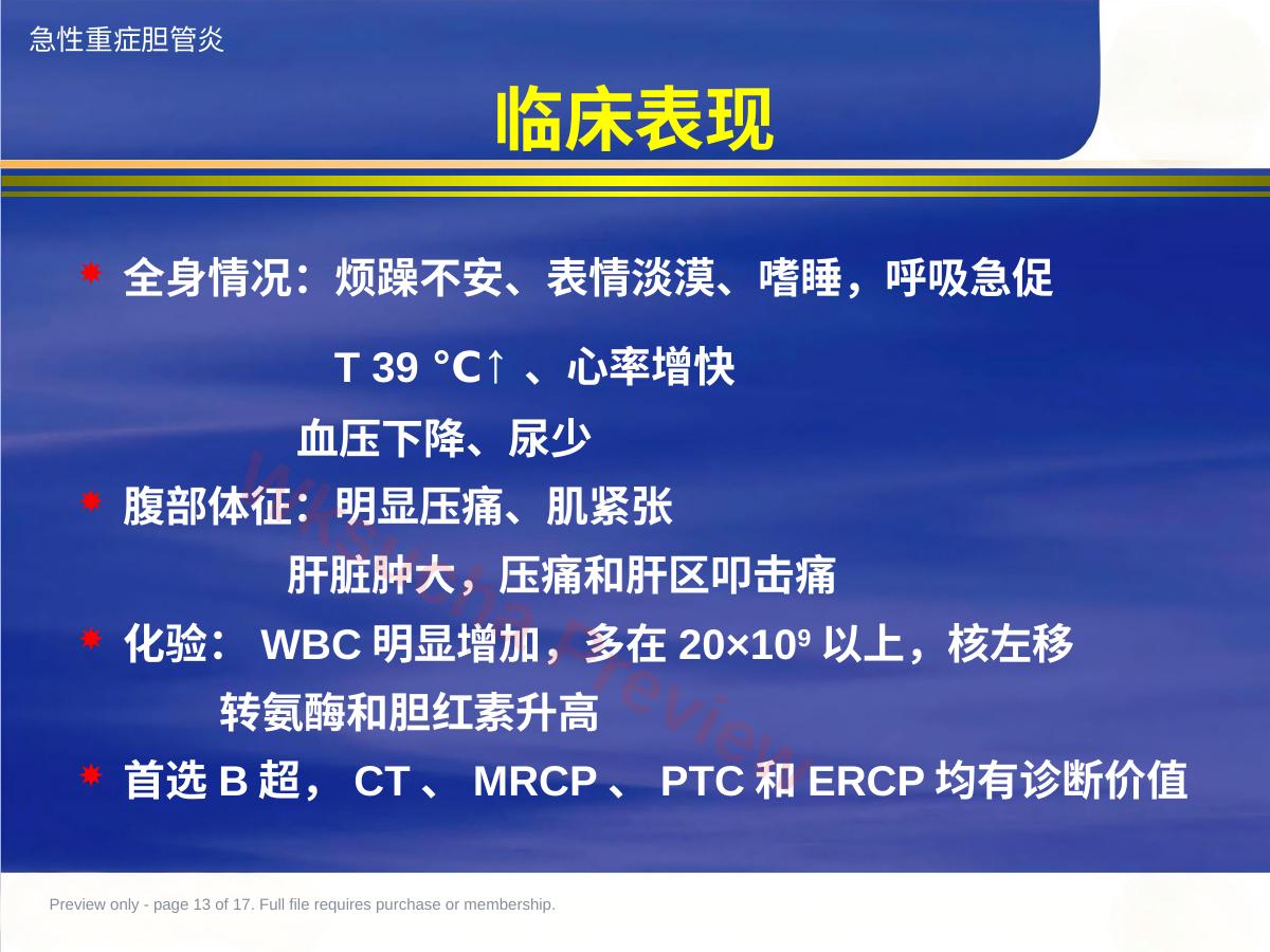 预览第 13 页