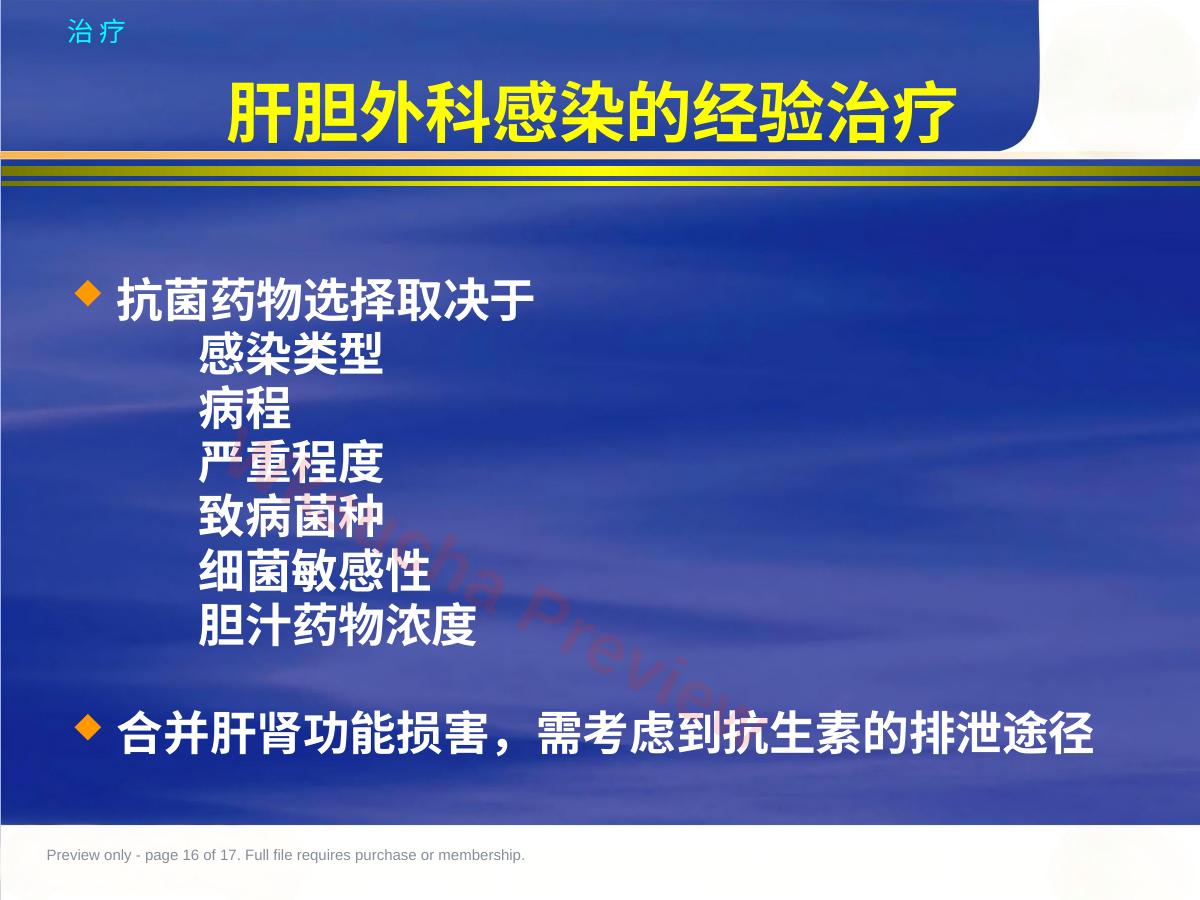 预览第 16 页