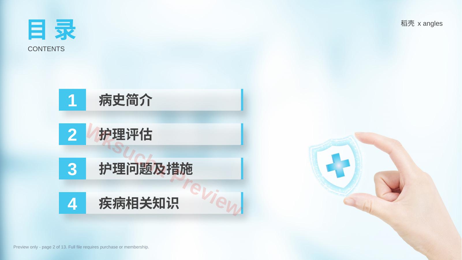 预览第 2 页