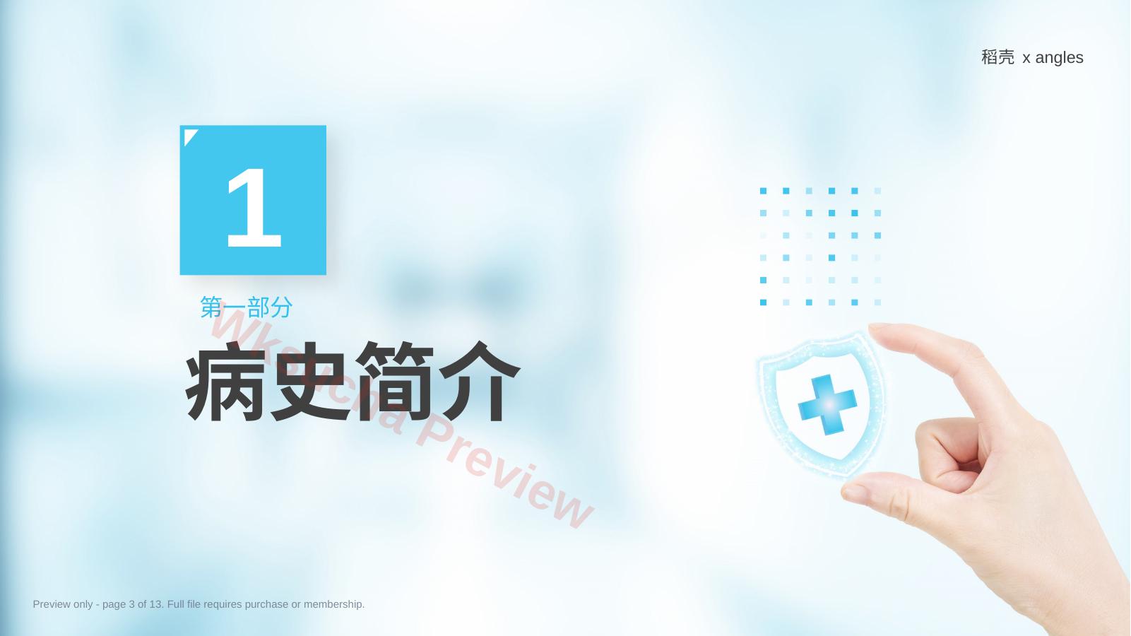 预览第 3 页