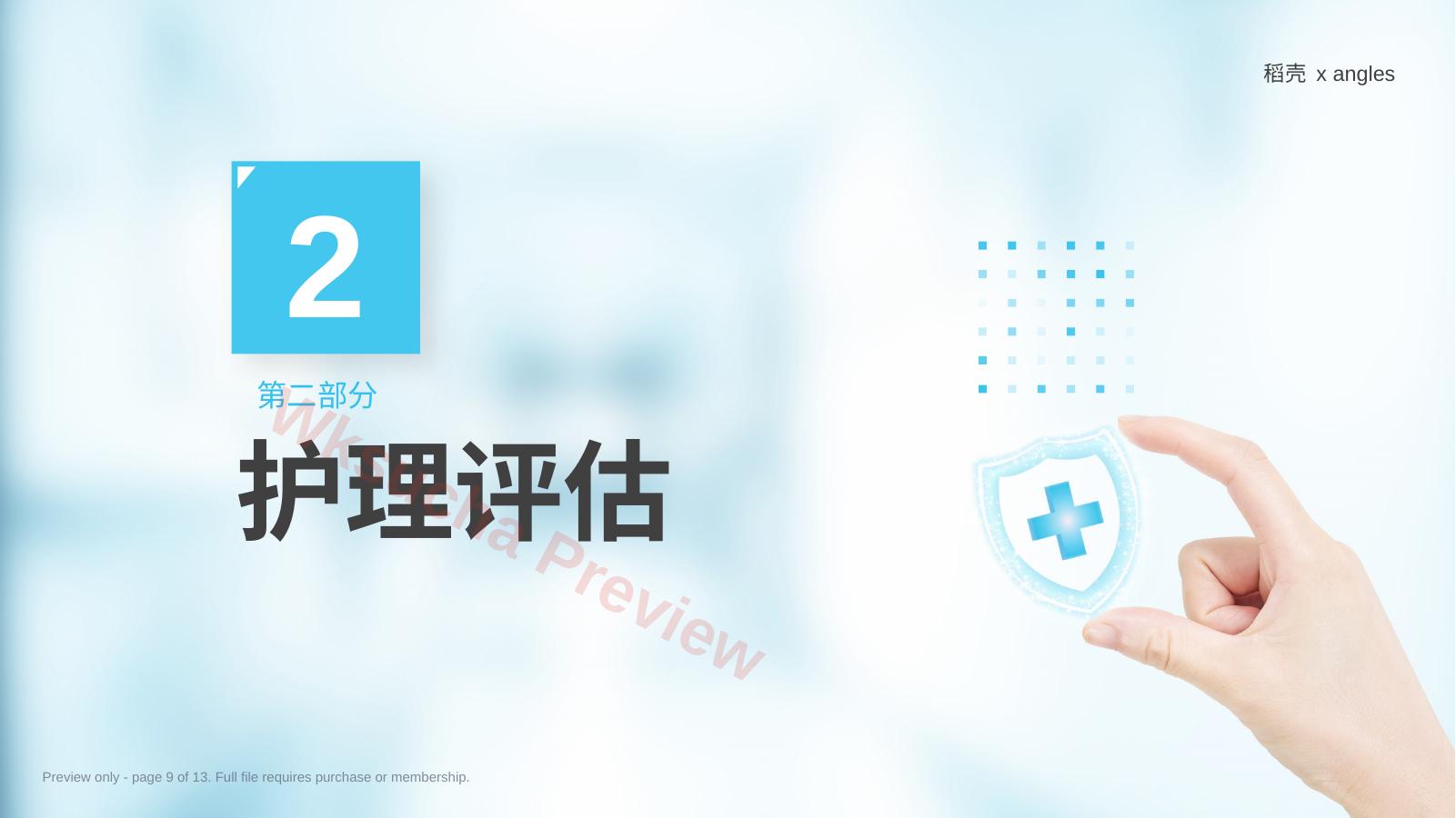 预览第 9 页