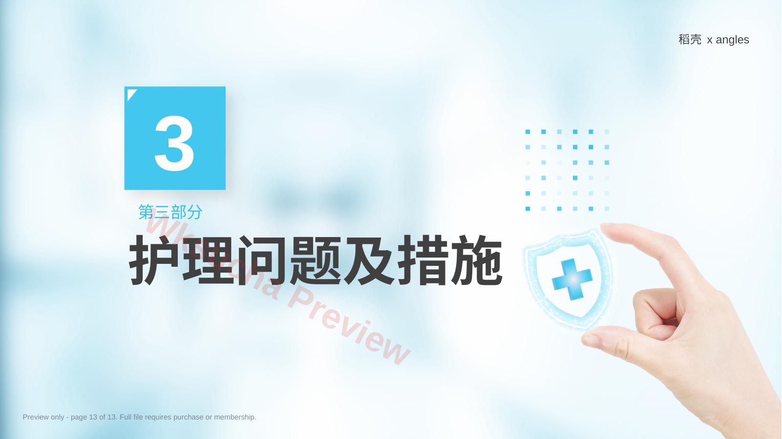 预览第 13 页