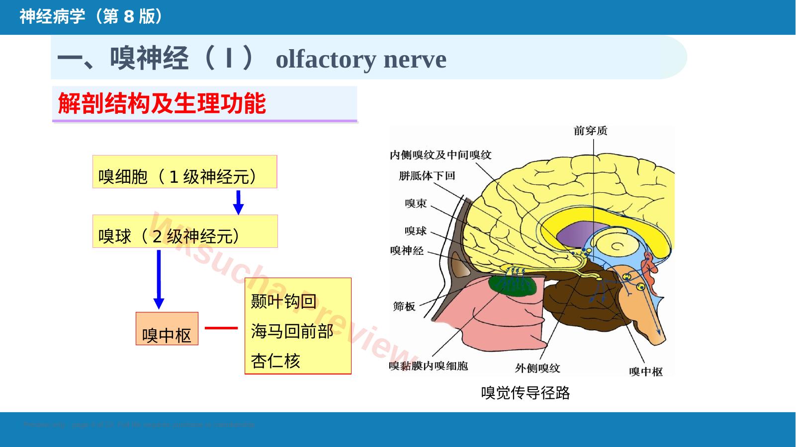 预览第 4 页