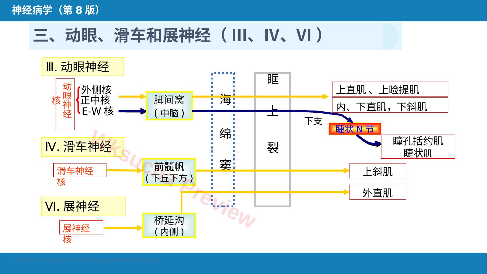 预览第 11 页