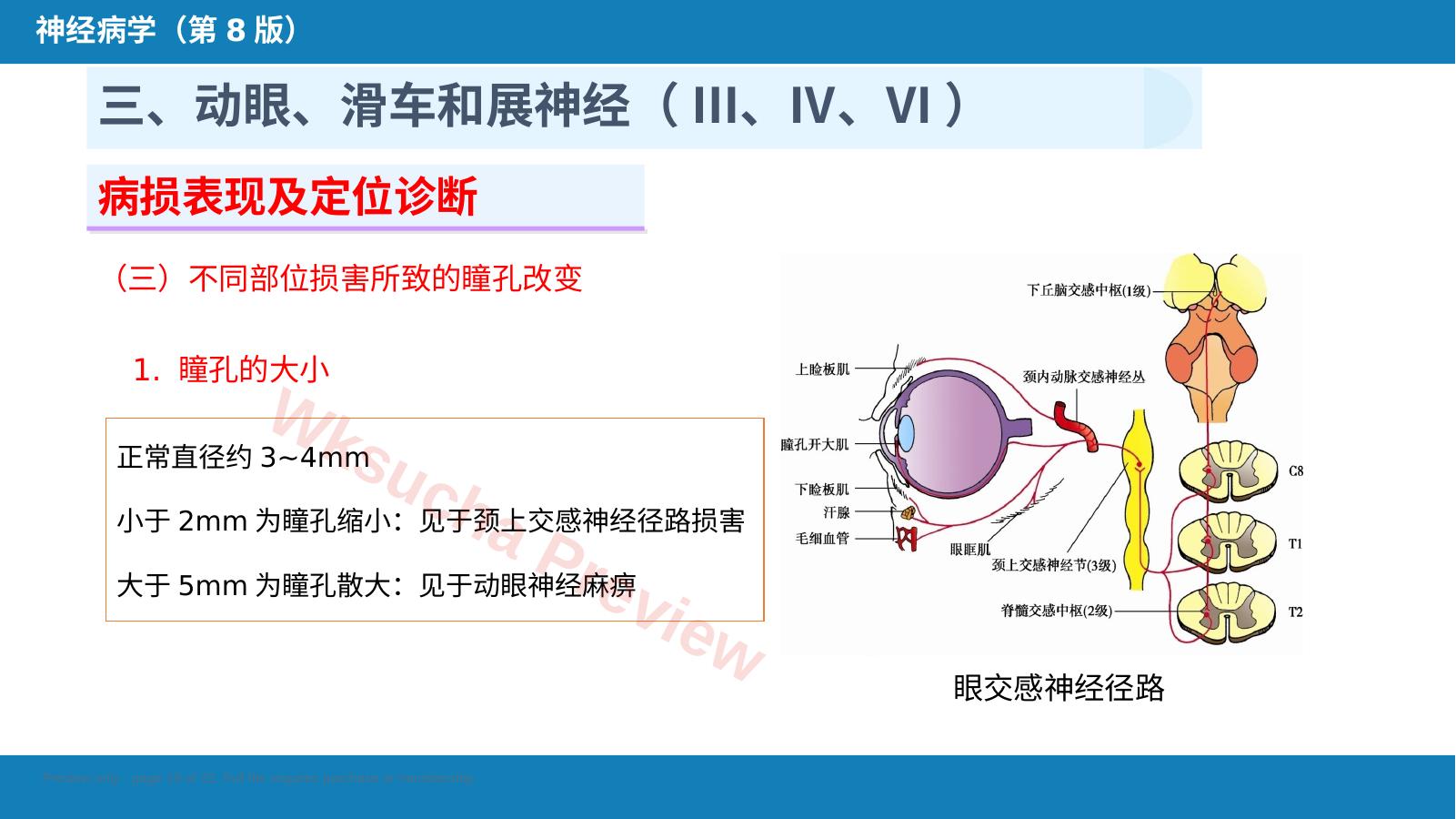预览第 19 页
