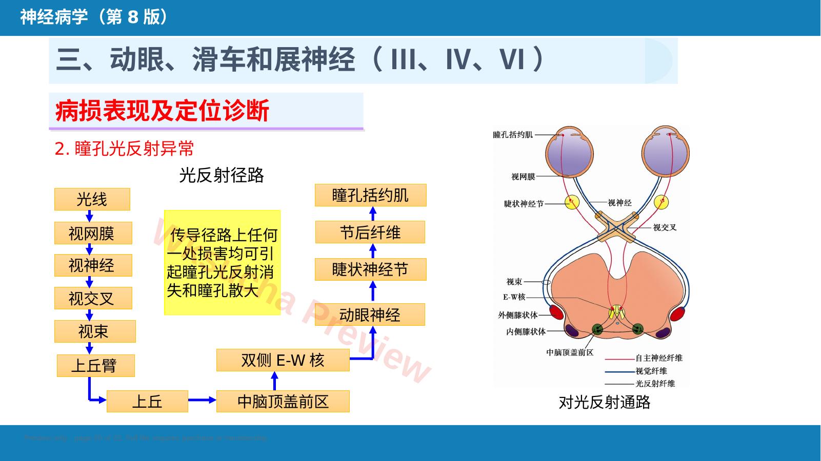 预览第 20 页