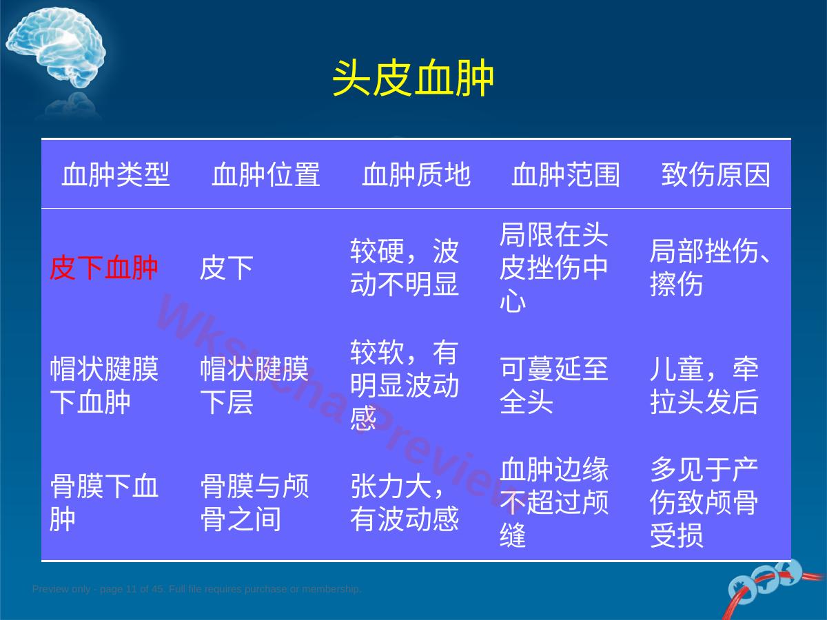 预览第 11 页
