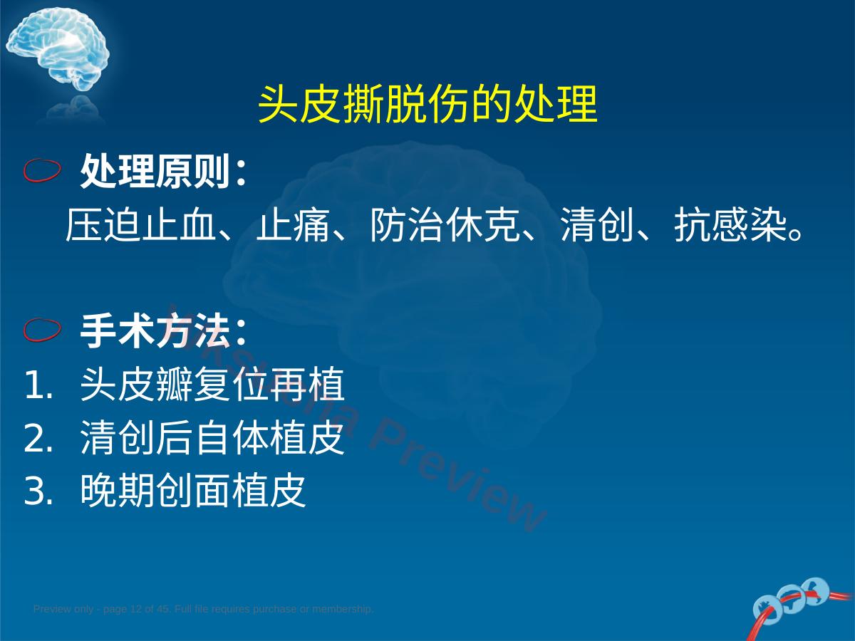 预览第 12 页