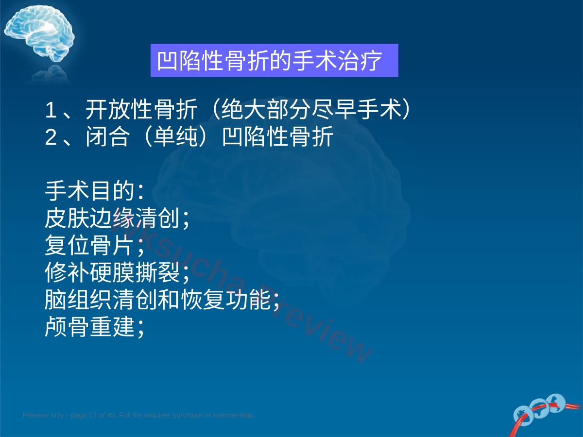 预览第 17 页