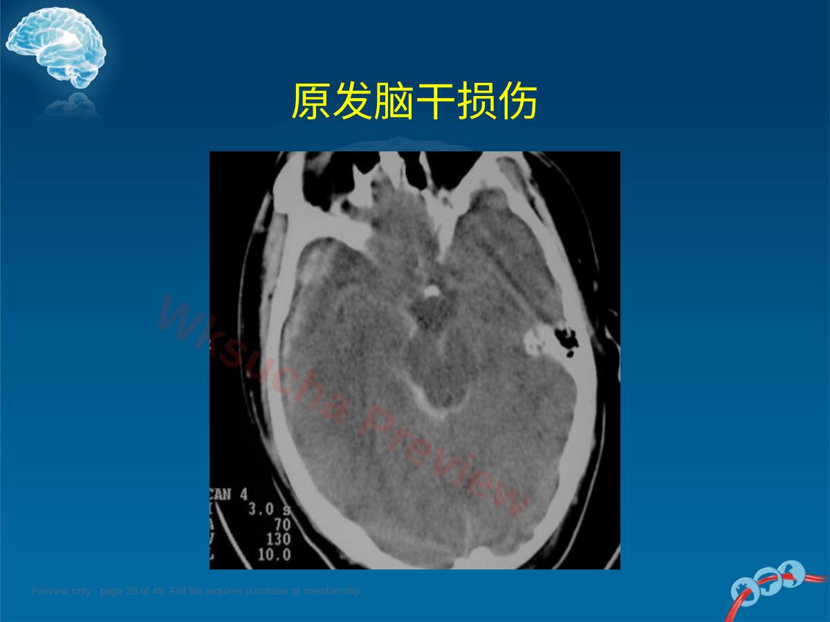 预览第 28 页