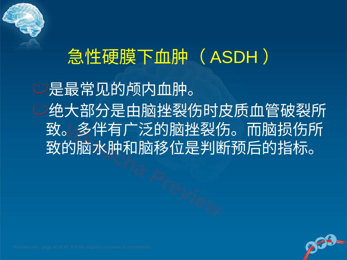 预览第 40 页