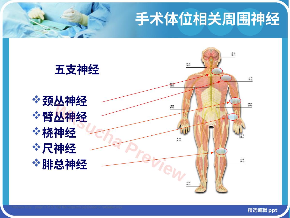 预览第 3 页