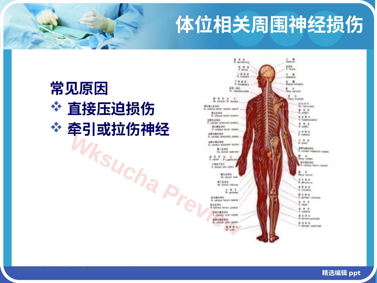 预览第 4 页
