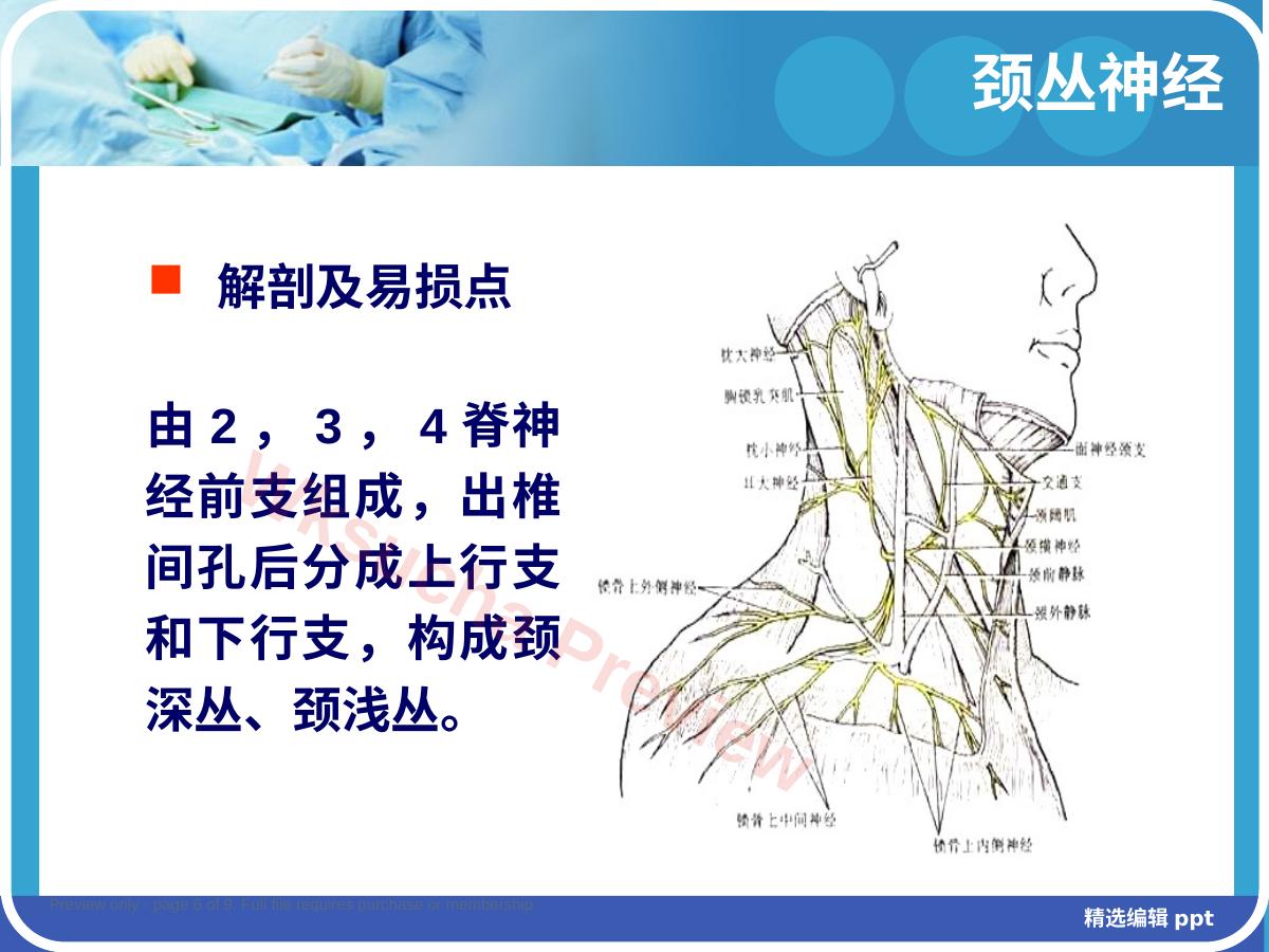 预览第 6 页