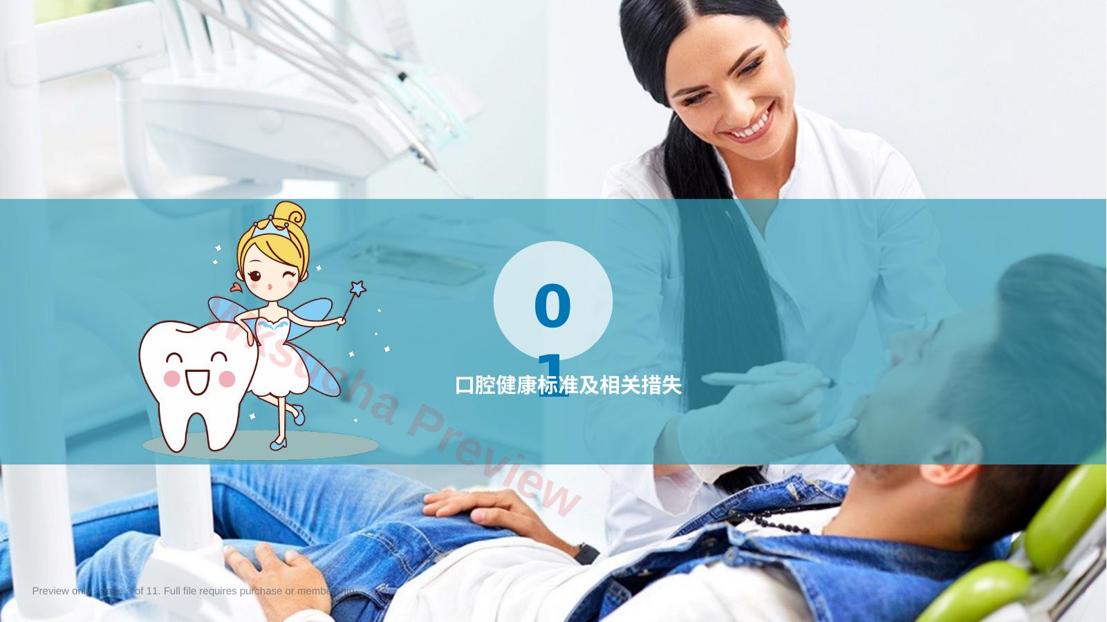 预览第 3 页