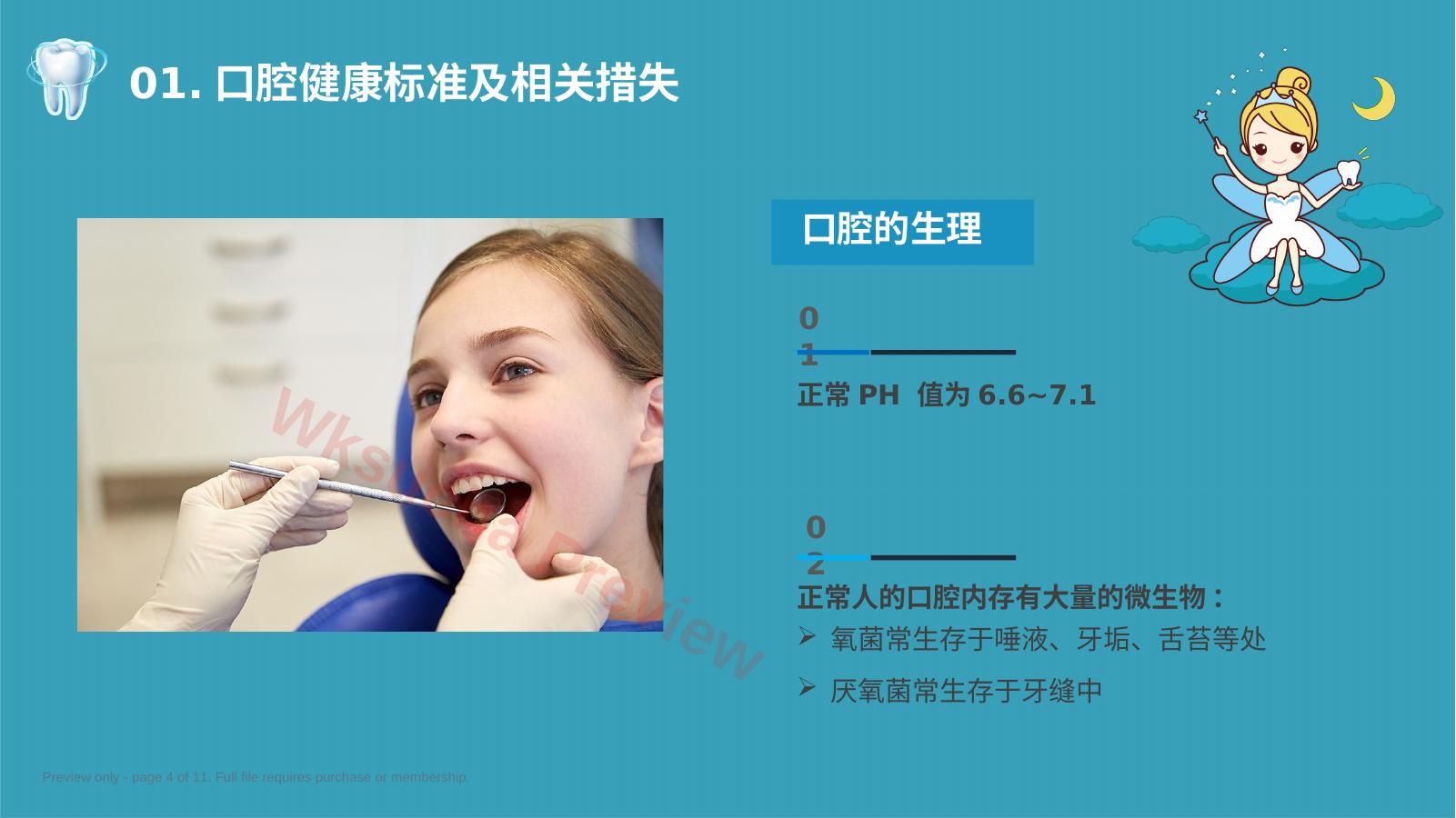 预览第 4 页