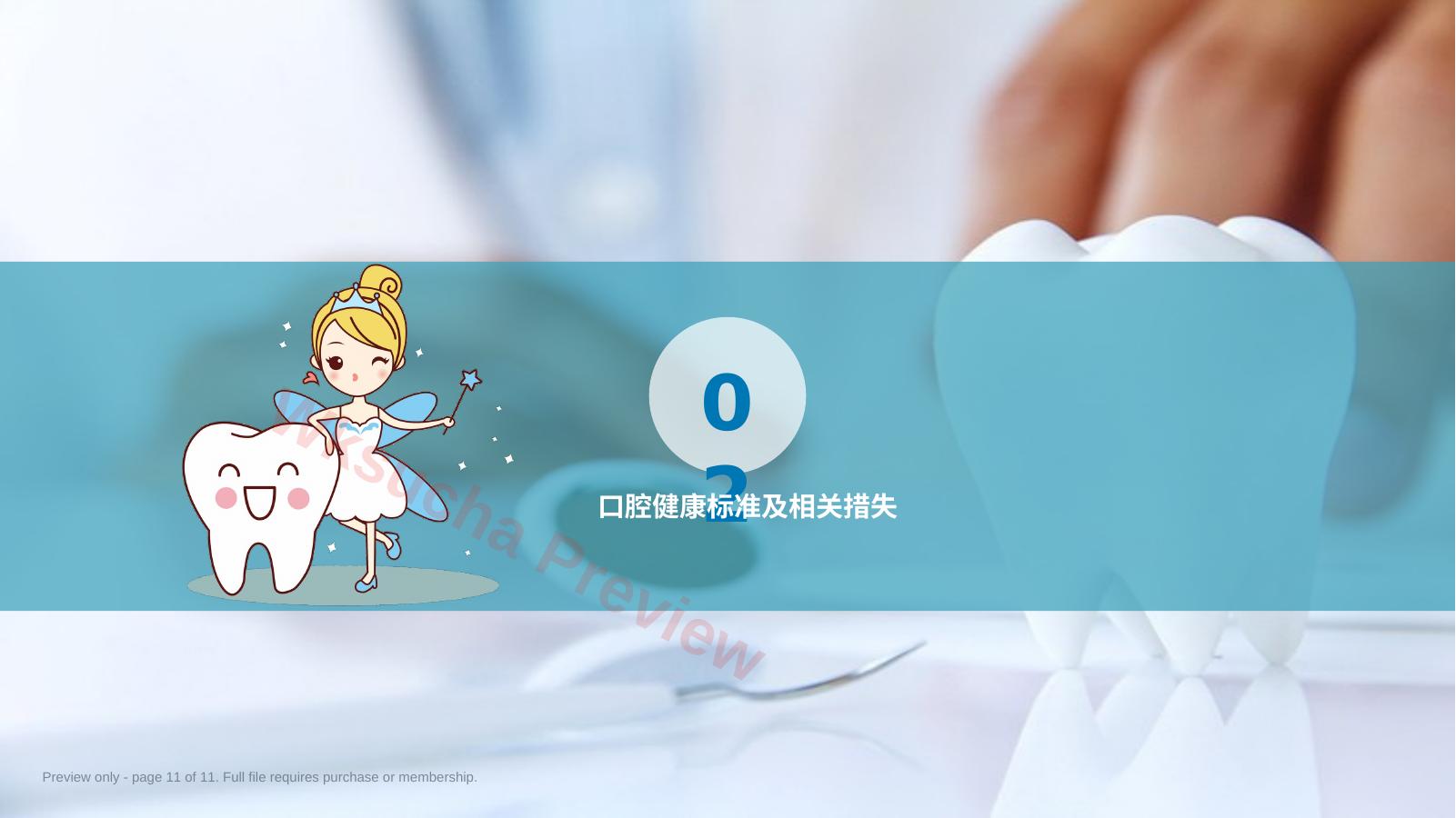 预览第 11 页
