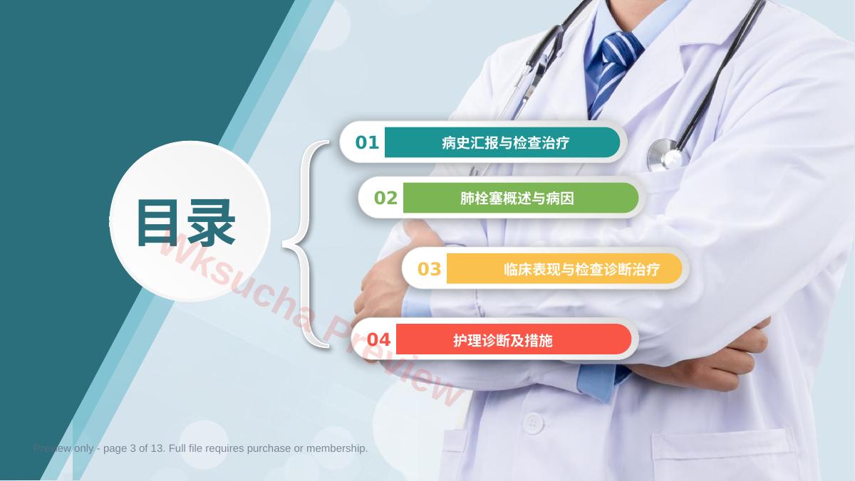 预览第 3 页