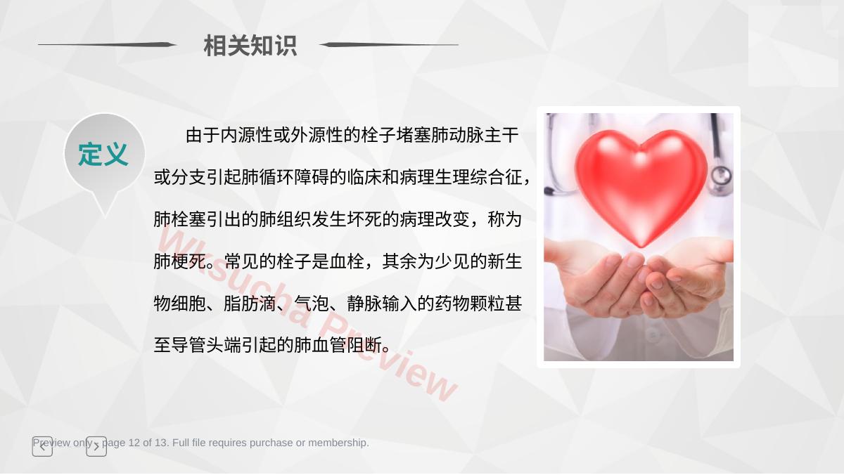 预览第 12 页