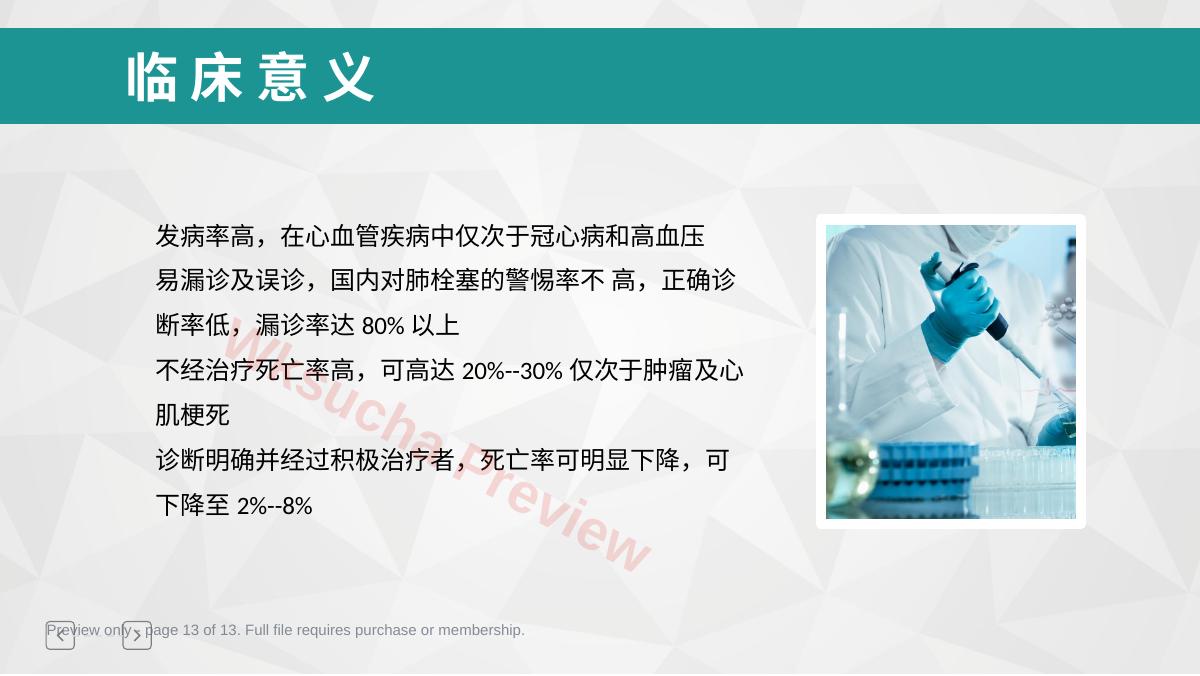 预览第 13 页